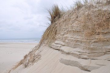 Duin aan zee van Vivian Kolkman