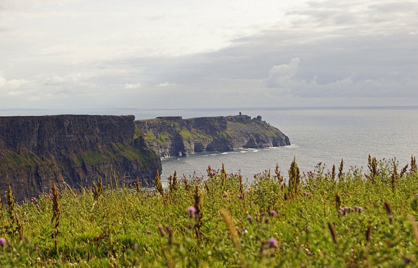 Kliffen van Moher - Ierland van Babetts Bildergalerie