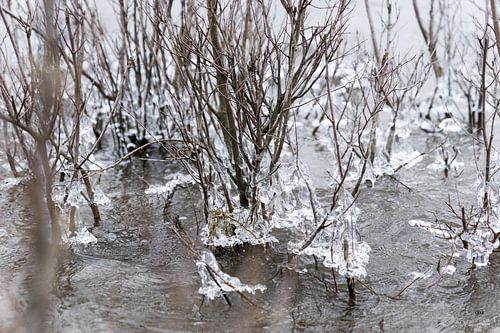 Winter in de Ooijpolder, bevroren water. IJs brokken.
