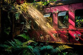 Train abandonné dans la lumière de la jungle sur Poster Art Shop