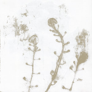 Japandi im botanischen Stil. Blumen im Wabi-Sabi-Stil