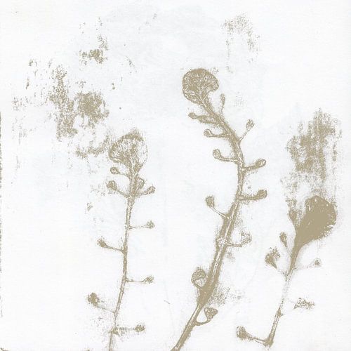 Japandi botanical. Flowers in wabi-sabi style by Dina Dankers