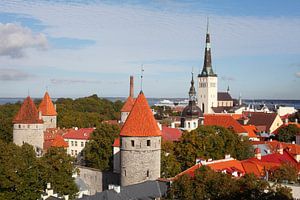 Ausblick vom Domberg auf die Unterstadt, Altstadt mit der Olaikirche oder Oleviste Kirik, und den T�