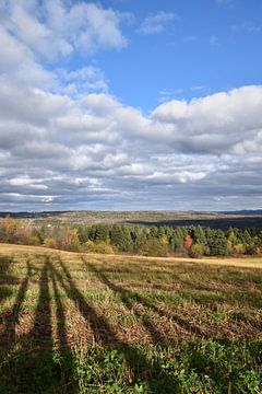 A field after the autumn harvest by Claude Laprise