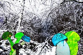 Verdwaalde paddestoelen von Els Rooijers