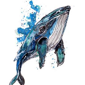 blue humpback whale by Sebastian Grafmann