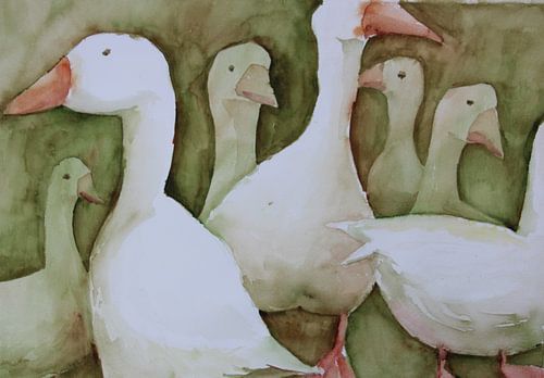 Zachte Ganzewals ???