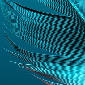 Fountain Pen in Colour by Léonie's Art Gallery