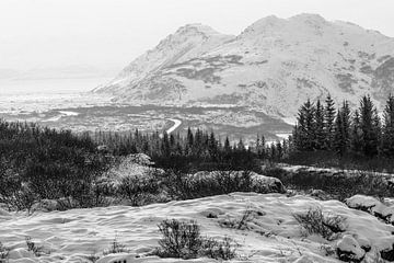 Besneeuwde Dieptes Monochrome Bergen en Vallei van Femke Ketelaar