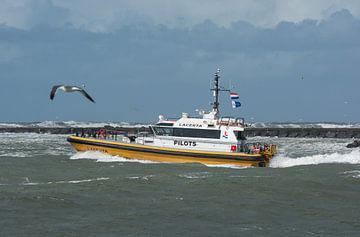 Pilottender Lacerta IJmuiden tijdens de storm IJmuiden. van scheepskijkerhavenfotografie