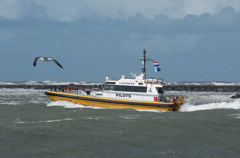Pilottender Lacerta IJmuiden during the storm IJmuiden. by scheepskijkerhavenfotografie