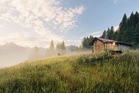 Sunrise on the mountain meadow