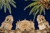 Kathedraal van Cadiz van Harrie Muis thumbnail