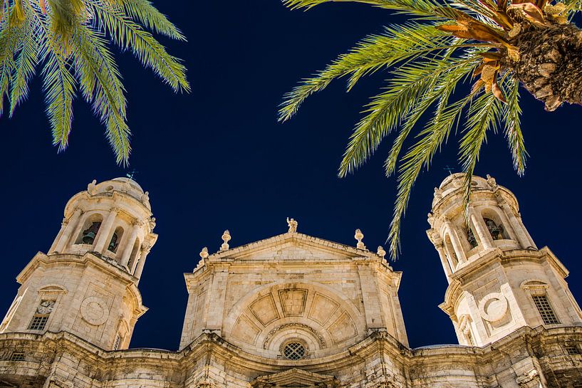 Kathedraal van Cadiz van Harrie Muis
