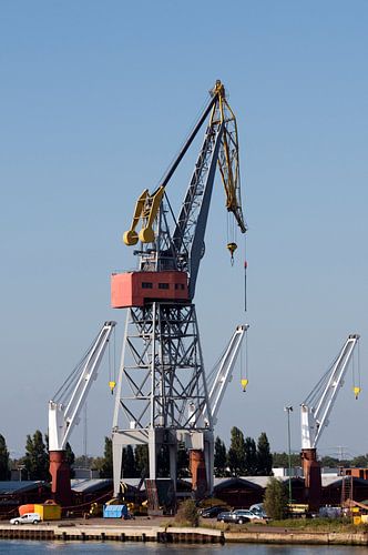 Cranes in the port of Amsterdam