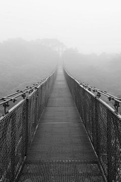 Un pont suspendu qui embrouille la forêt du Costa Rica sur Color Square