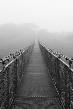 Hangbrug nevelwoud Costa Rica van Color Square