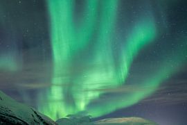 Noorderlicht by Ingrid van Wolferen