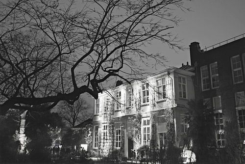 Hortus Botanicus Amsterdam