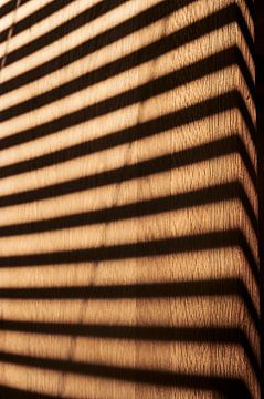 Muster einer Jalousie im Sonnenlicht auf einer Holzoberfläche von Michael Moser