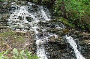 Plodda Falls