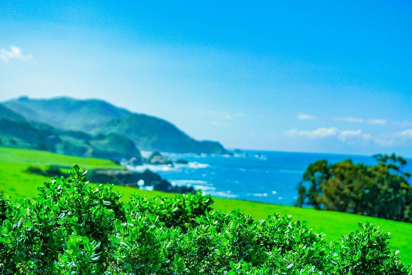 Côte Pacifique par Barbara Riedel