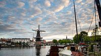 Die Adriaan-Windmühle in Haarlem von Arjen Schippers Miniaturansicht