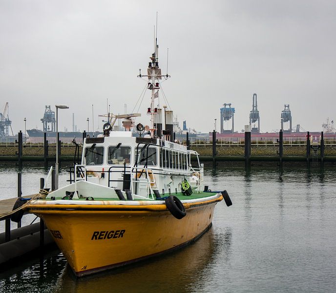 Pilot boat Reiger waiting for the pilot and the sea vessel. by scheepskijkerhavenfotografie