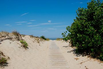 Route de la plage parmi les dunes sur Kristof Leffelaer