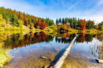 Autumn colors at a lake in the Black Forest by Hans-Bernd Lichtblau