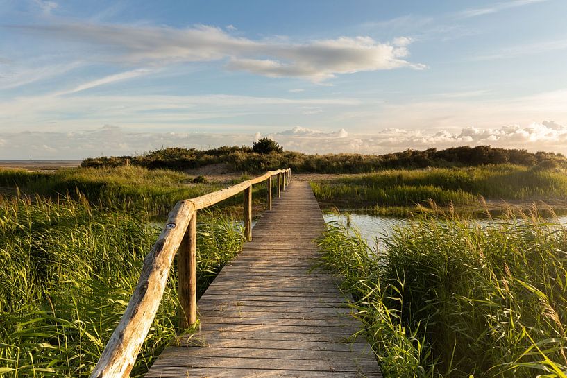 Brücke über das Wasser auf Terschelling von KB Design & Photography (Karen Brouwer)