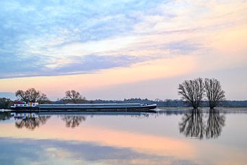 IJssel river flooding with high water levels on the floodplains by Sjoerd van der Wal Photography