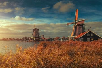 Leve de Leegte van Thomas de Franzoni