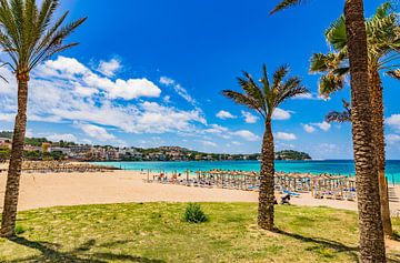 Santa Ponsa, beautiful seaside with palm trees on Majorca by Alex Winter