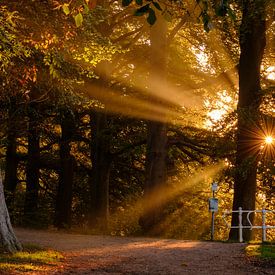 Sunrise by Ronald Smeets Photography