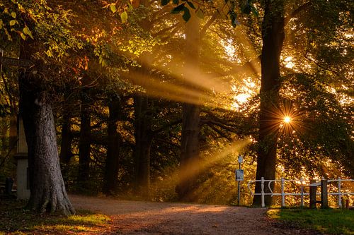 Sunrise