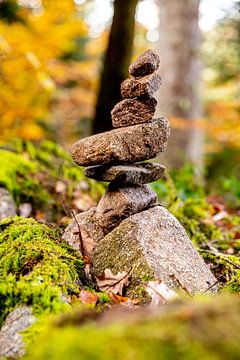 Stenen toren in het bos van Alexander Wolff