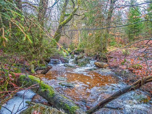 Tussen de rotsen stromend rivier de Bayehon