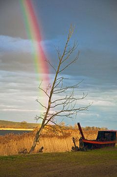 Magische regenboog over de rivieroever in de Oderbruch