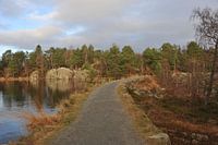 wandelpad door de natuur