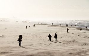 Winterse strandwandeling van Dennis van de Water