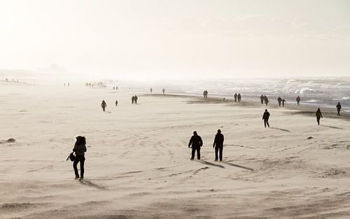 Winterse strandwandeling by Dennis van de Water