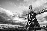 Windmühle