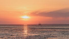 Wadden Sea in last evening light by Willemke de Bruin