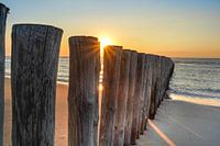 Piles on the beach