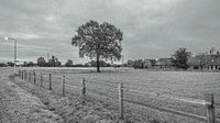 Natuurgebied Moerenburg bewolkt en grijs van Freddie de Roeck thumbnail