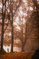 Mountain biker in the fog