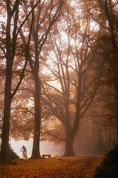 Mountainbiker im Nebel