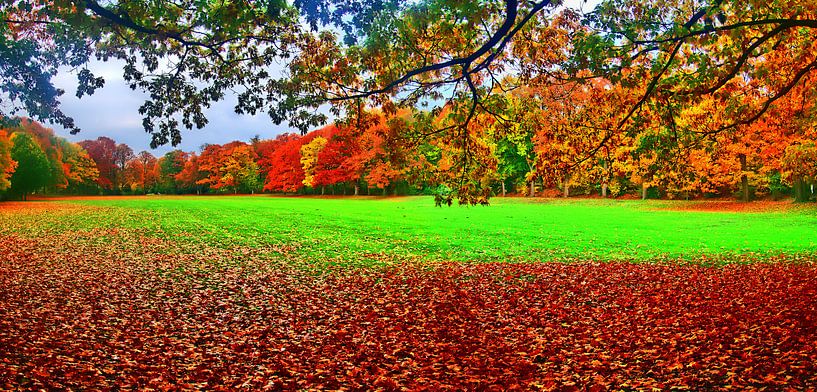 Panorama d'automne par Edgar Schermaul
