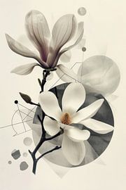 Magnolia geometric